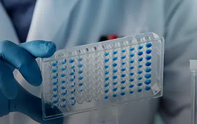 Bio-Pharma industry